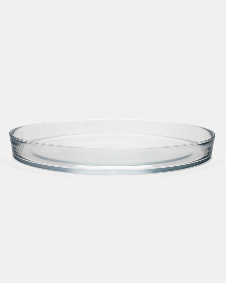 relations™ TRAY(CLEAR) 340mm