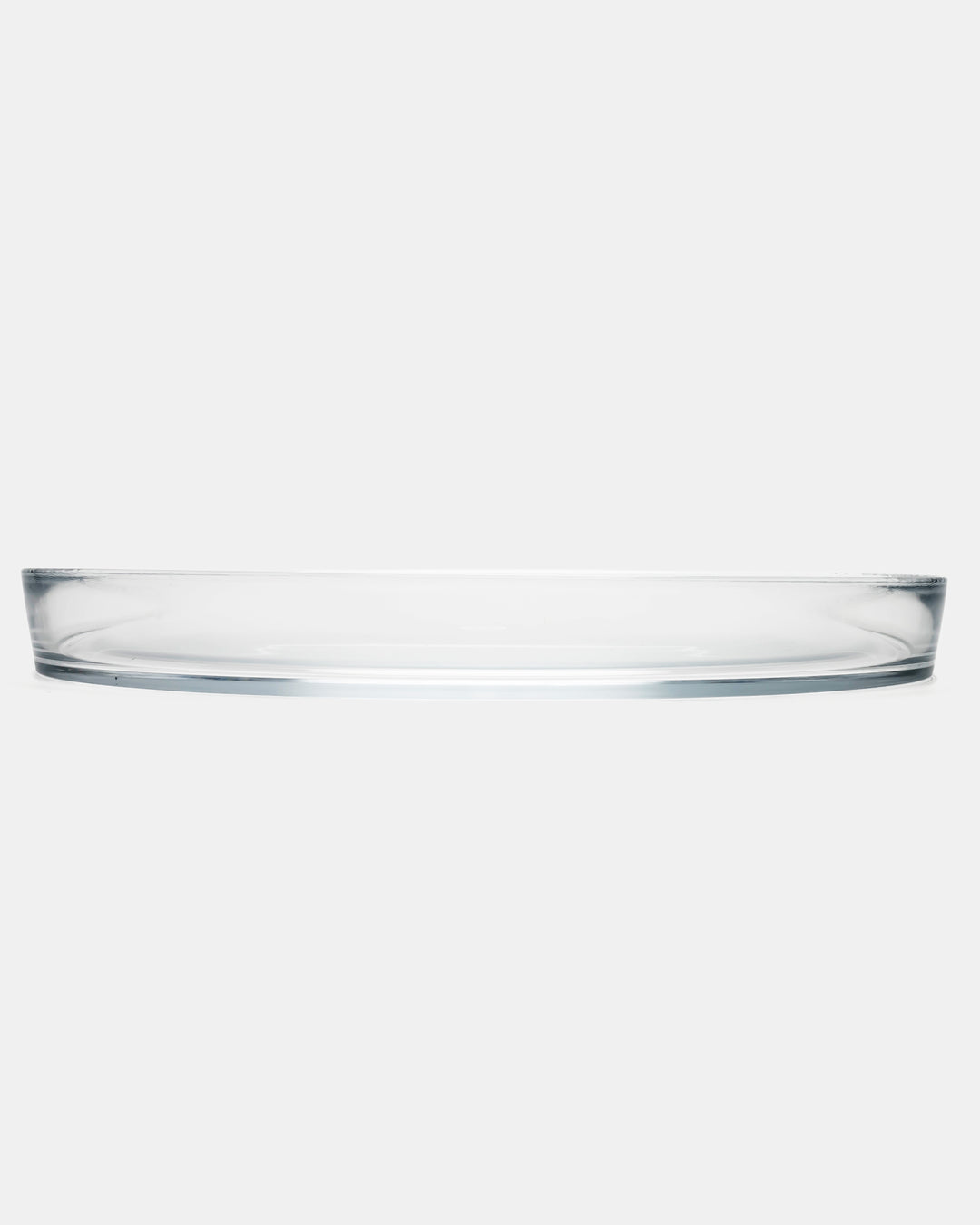 relations™ TRAY(CLEAR) 340mm