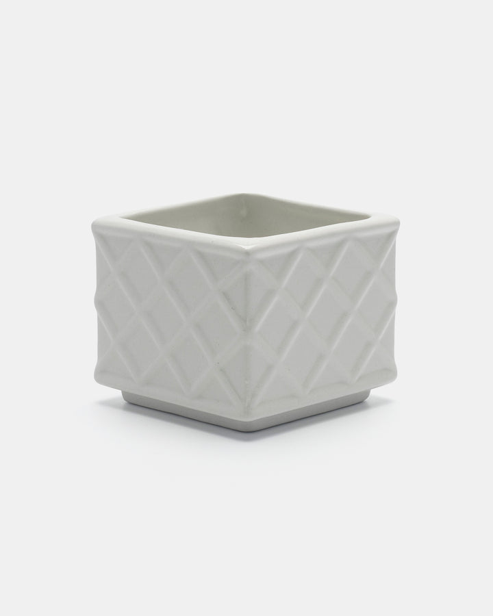 PLANTA BOX(WHITE) Ay.1