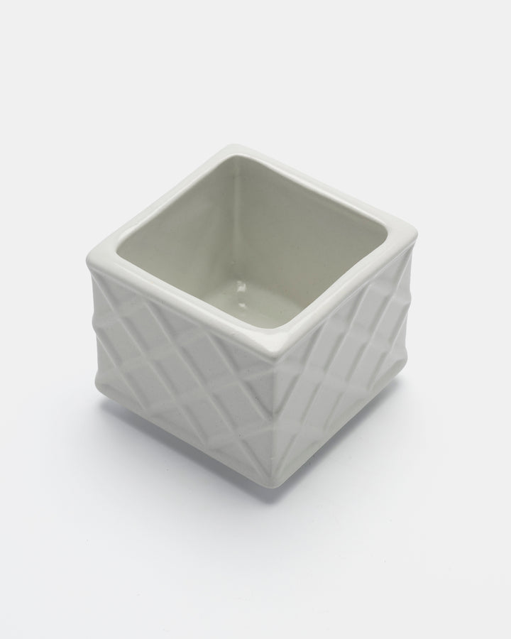 PLANTA BOX(WHITE) Ay.1