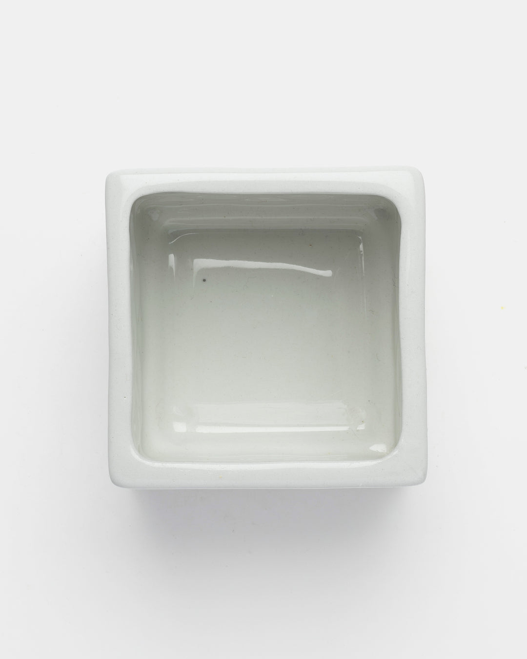 PLANTA BOX(WHITE) Ay.1