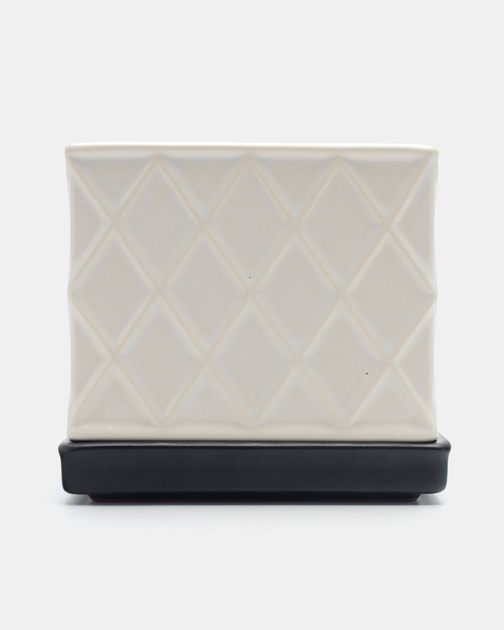 PLANTA BOX(WHITE) Ay.3
