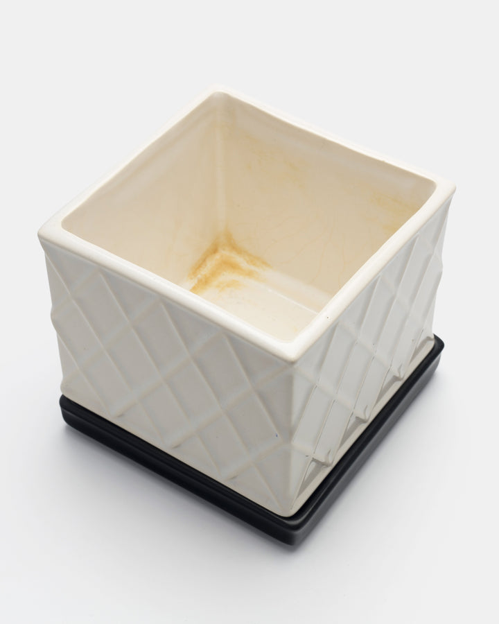 PLANTA BOX(WHITE) Ay.3