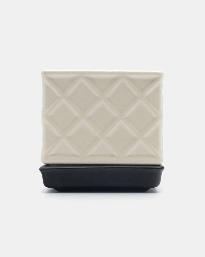 PLANTA BOX(WHITE) Ay.1