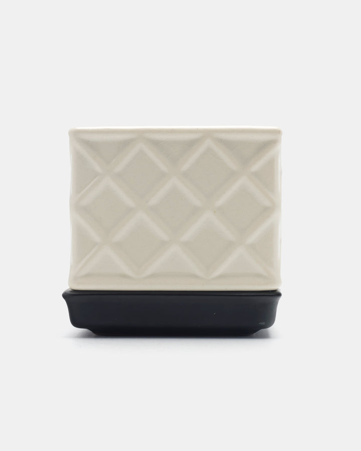 PLANTA BOX(WHITE) Ay.1