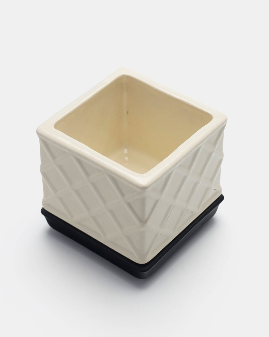 PLANTA BOX(WHITE) Ay.1
