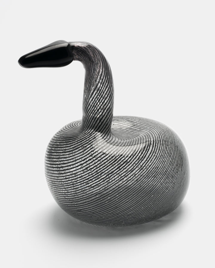 BLACK SWAN(UNIQUE PIECE)