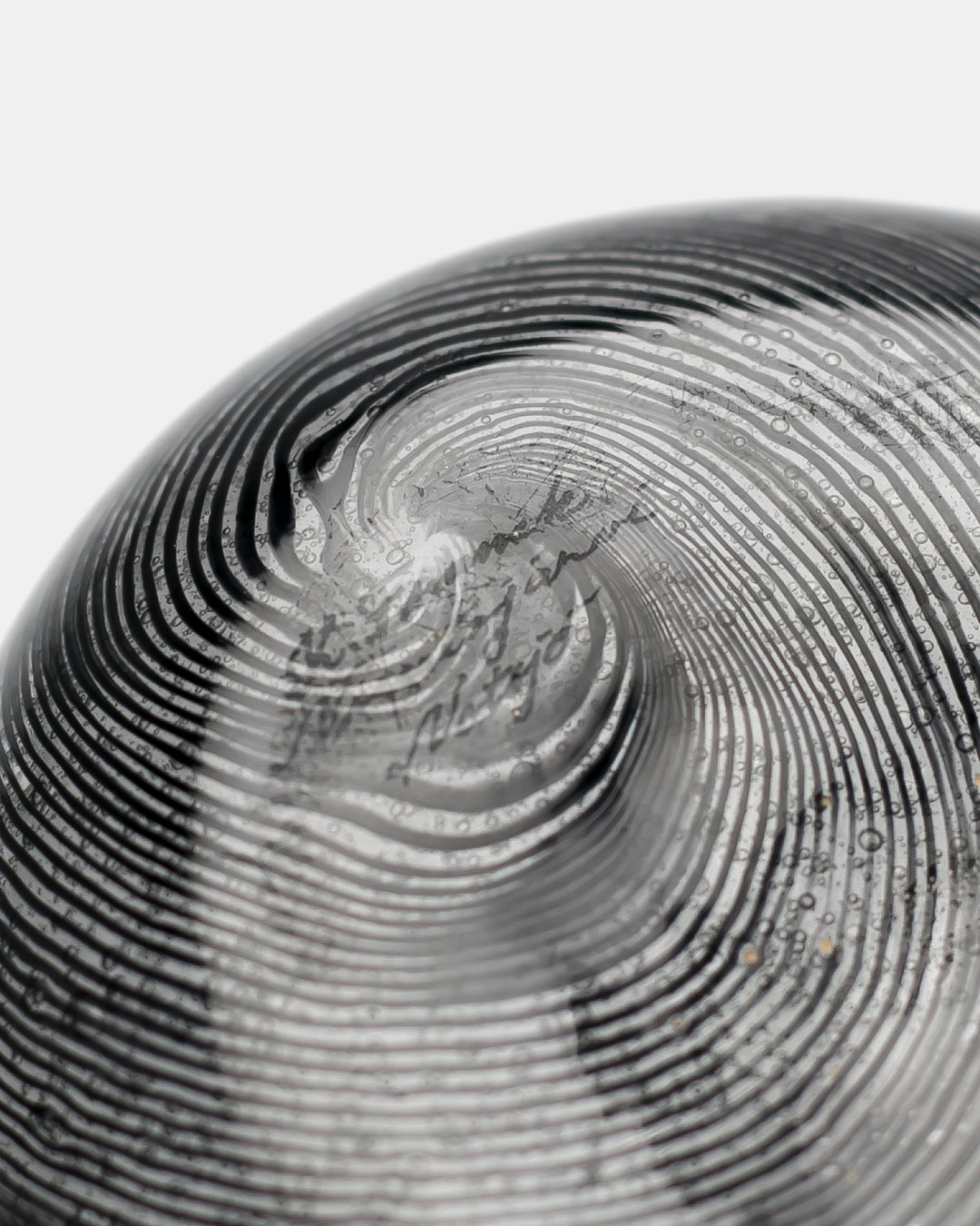 BLACK SWAN(UNIQUE PIECE)