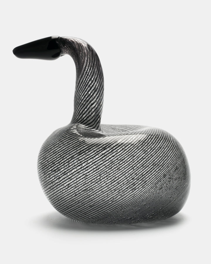 BLACK SWAN(UNIQUE PIECE)