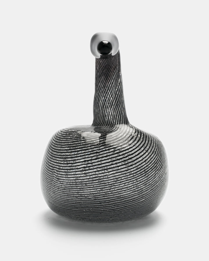 BLACK SWAN(UNIQUE PIECE)