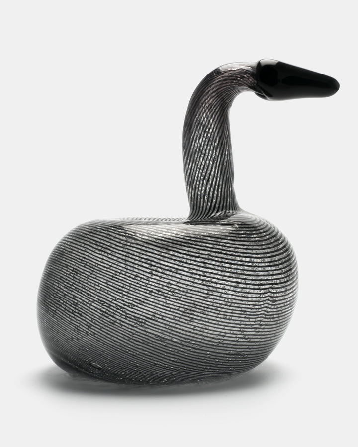 BLACK SWAN(UNIQUE PIECE)