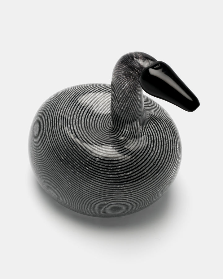 BLACK SWAN(UNIQUE PIECE)