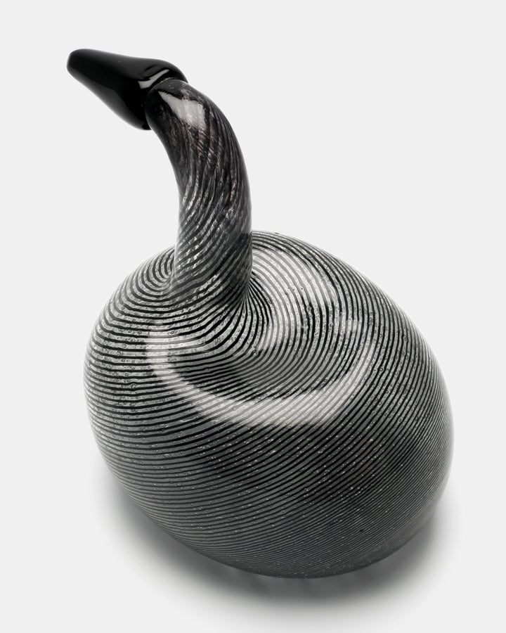 BLACK SWAN(UNIQUE PIECE)