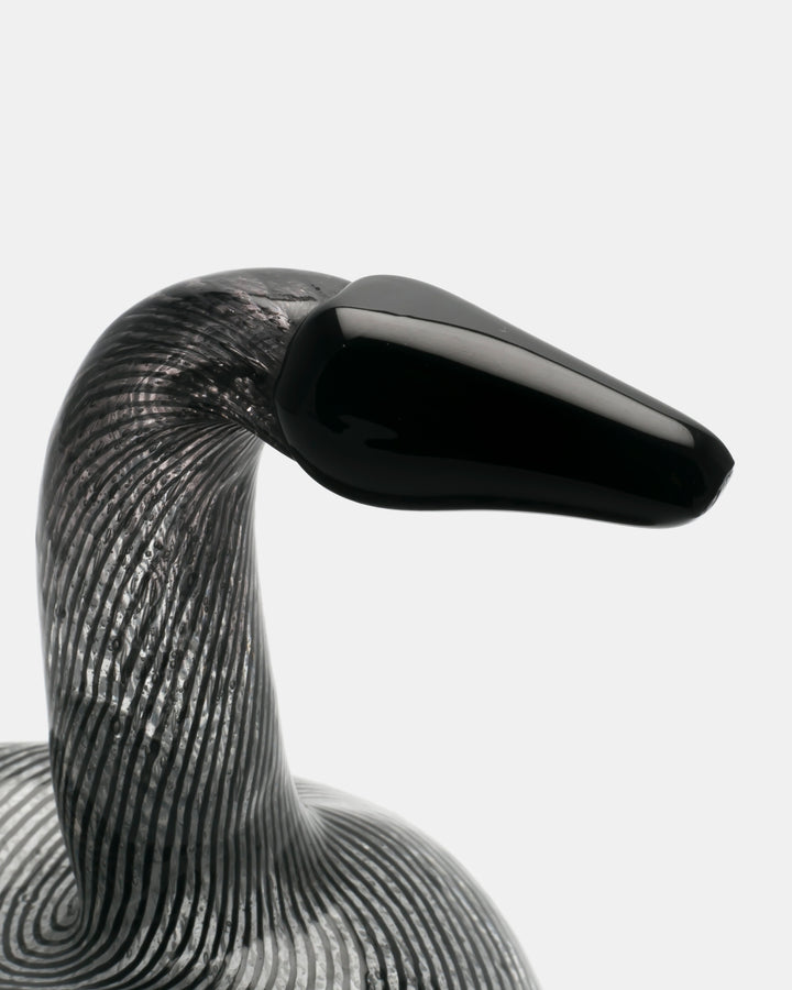 BLACK SWAN(UNIQUE PIECE)