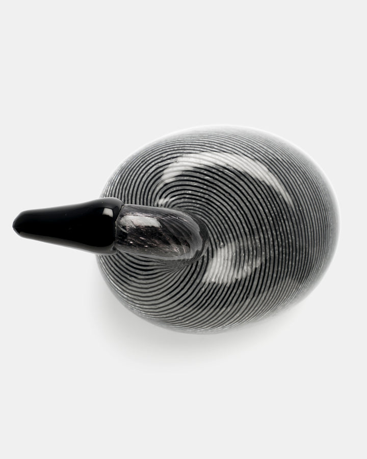 BLACK SWAN(UNIQUE PIECE)